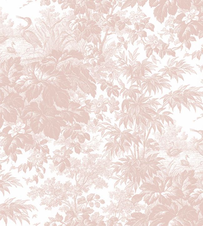 TOILE