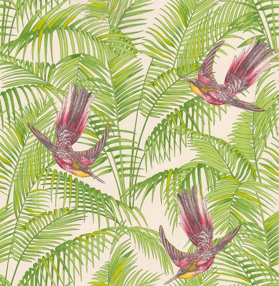 Sunbird
