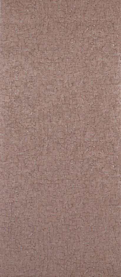 Cambium