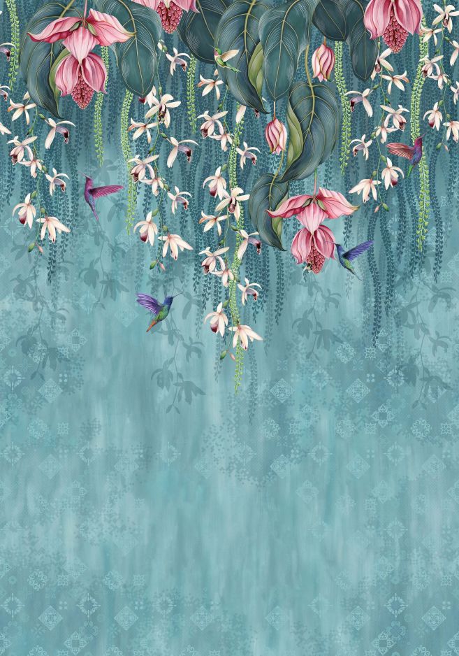 Trailing Orchid