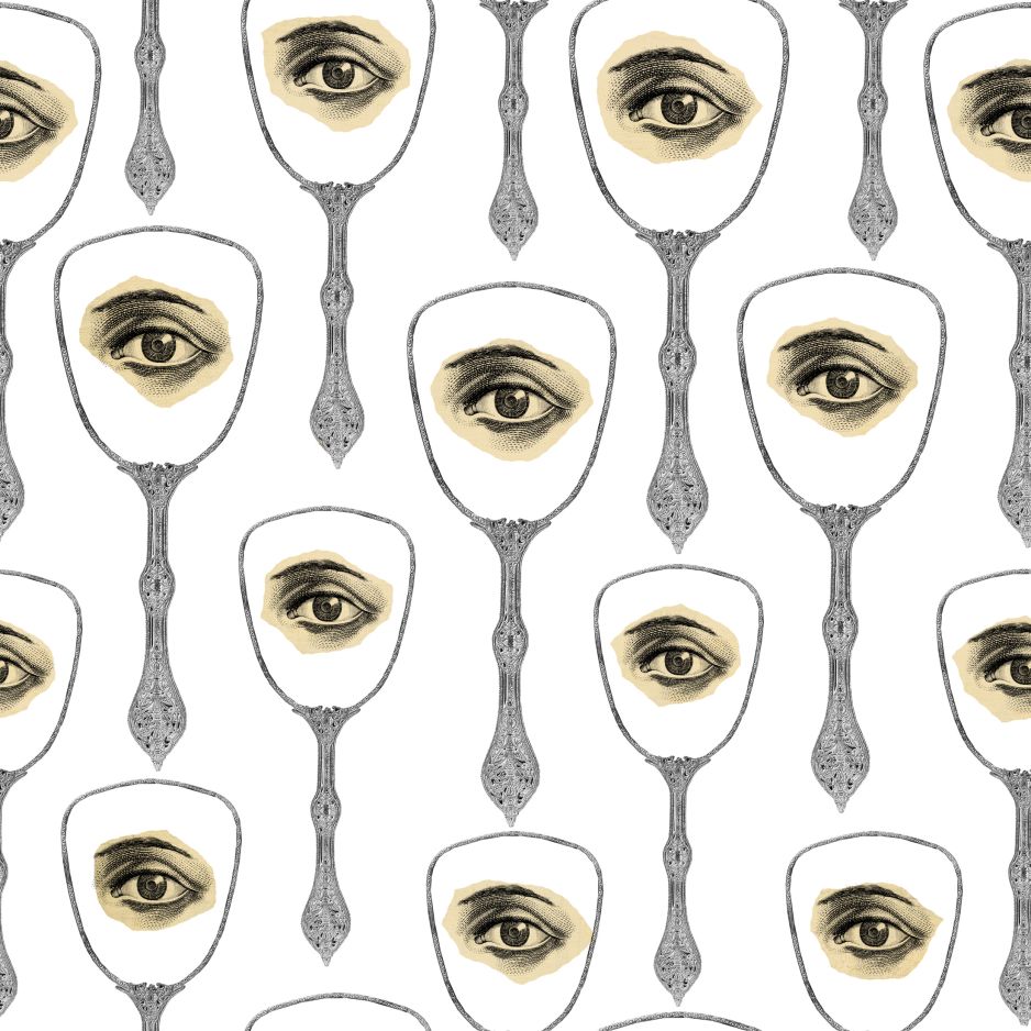 Mirror's Eye
