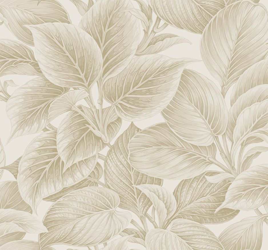 Shades of White Calla