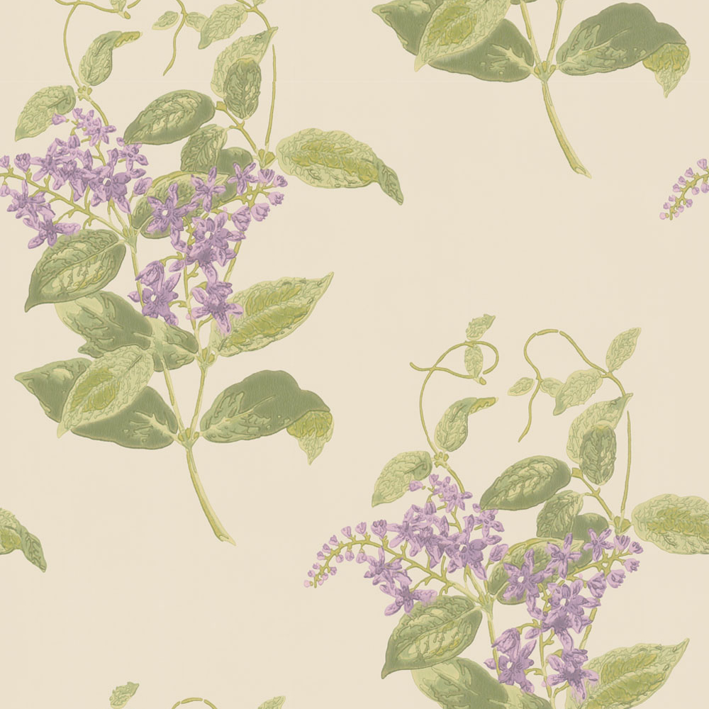 Madras Violet