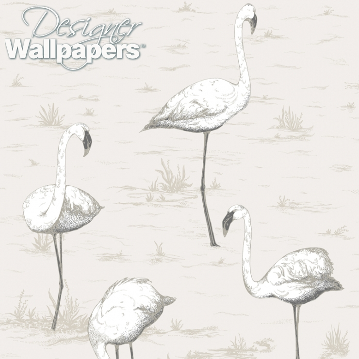 Flamingos