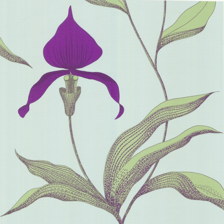 Orchid
