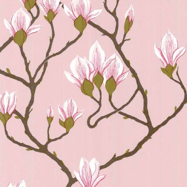 Magnolia