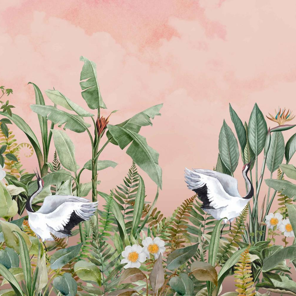 Dancing Crane Birds