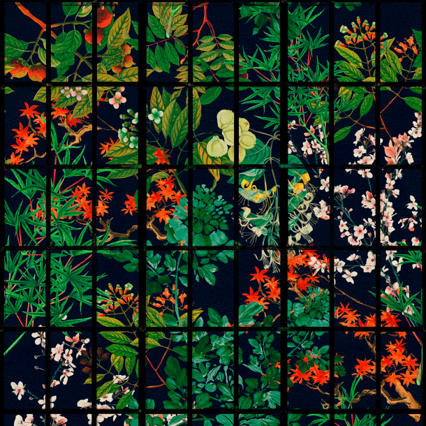 Japanese Garden