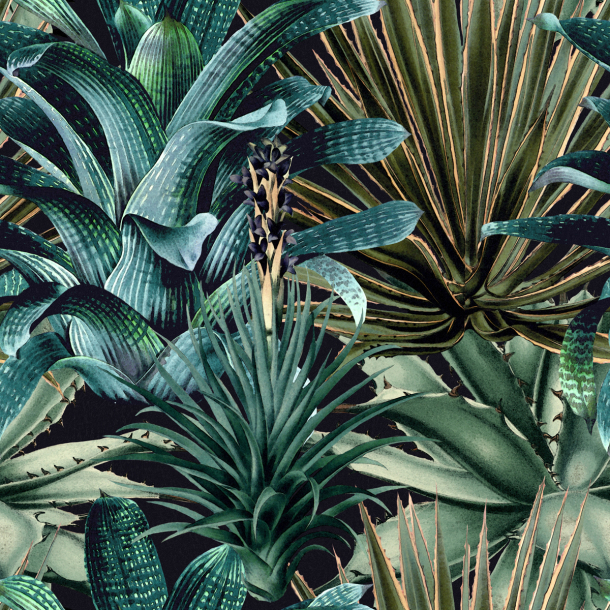 Lush Succulents