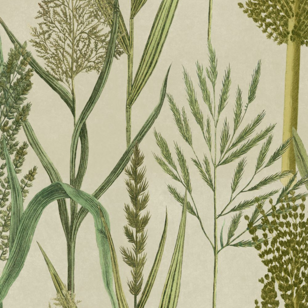 RIVERSIDE FLORA