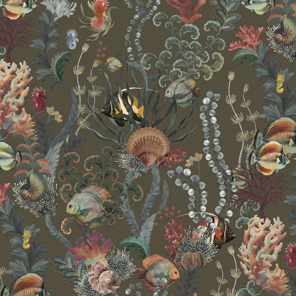 Coral Reef
