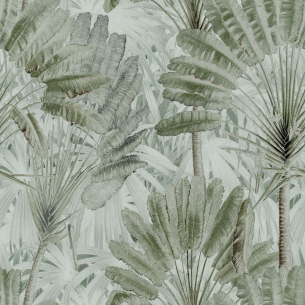 TRAVELLER'S PALM