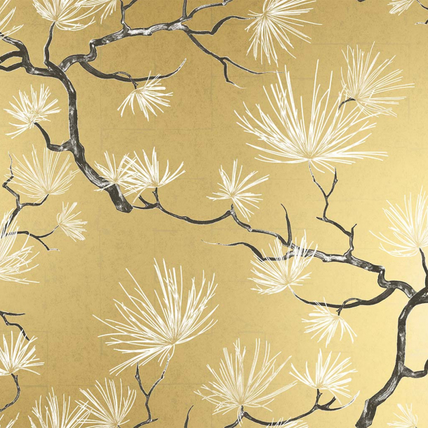 Shades of White Savannah