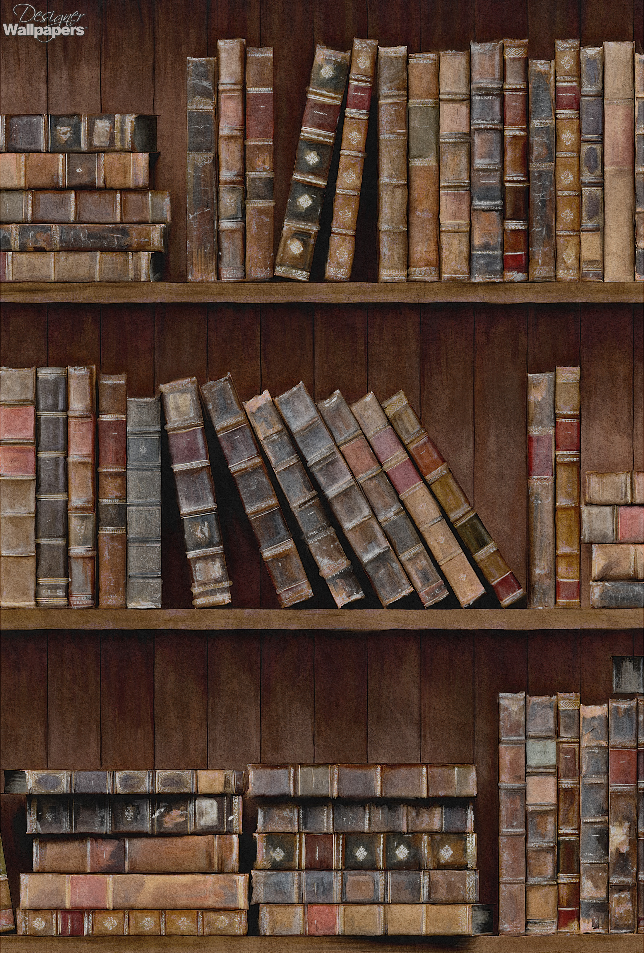 Bookshelf Wallpaper  Realistic Library Design  Milton  King