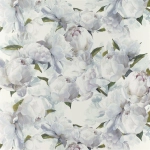 Designers Guild Peonia