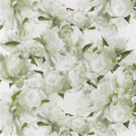 Designers Guild Peonia