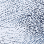 Marimekko LEPO 25141 Blue, navy and white