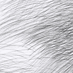 Marimekko LEPO JV-25143 Black & white, soft grey