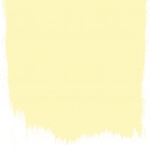 Designers Guild Primrose  no 118  perfect paint 