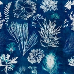 Mind The Gap Algae WP20297 Blue, White
