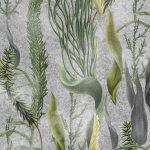 Mind The Gap AQUATIC PLANTS WP20718 AQUATIC PLANTS Grey Wallpaper