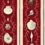 Mind The Gap COQUILLAGE WP20573 