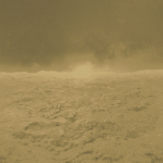 Armani Casa LEOPARDI GOLD 9970 Gold