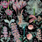 Mind The Gap Garden of Eden WP20324 Black, Blue, Mauve
