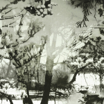 Jean Paul Gaultier BRUME 3307-01 A soft ecru background with a misty, charcoal-toned landscape with ...