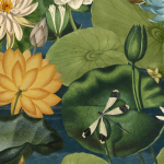 Mind The Gap LOTUS BLOSSOM WP20723 LOTUS BLOSSOM Wallpaper