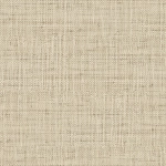 Today Interiors SAVANNAH GRASS LS61102-LS61117 LS61115 Creamy off-white with a touch of ivory.