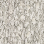 Nina Campbell Kershaw Plain