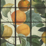 Mind The Gap Orangerie WP20176 