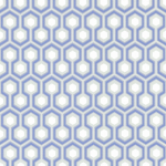 Cole and Son Hicks' Hexagon 66/8054 In cool greys with cornflower blue.