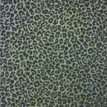 Osborne & Little Pardus