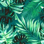 Mind The Gap Rainforest