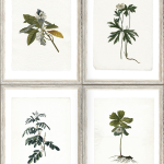 Mind The Gap Botany WP20153 Brown, Green, Ivory, Grey
