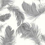 Today Interiors Shades of White Feather WS70800 Black feathers accented with soft grey on a white background.