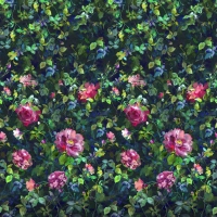 Designers Guild Gertrude rose fuchsia