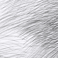 Marimekko LEPO - Black & White Wallpaper