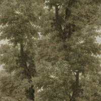 BRANCHY