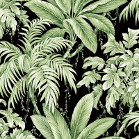 Today Interiors ST ANDREW