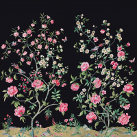 Today Interiors SWAN LANE