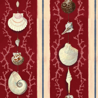 Mind The Gap COQUILLAGE