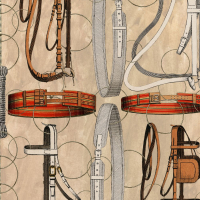 EQUESTRIAN EQUIPMENT