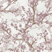 Today Interiors ORCHARD