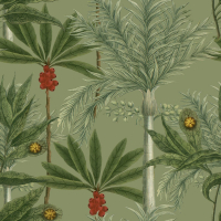 Mind The Gap MADAGASCAR