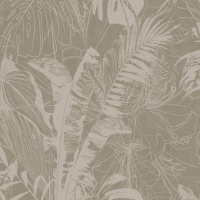 Today Interiors Panthera Palm