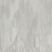 Today Interiors Panthera Brush