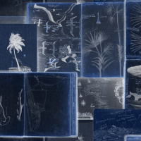 Mind The Gap  SEAMAN’S JOURNAL 